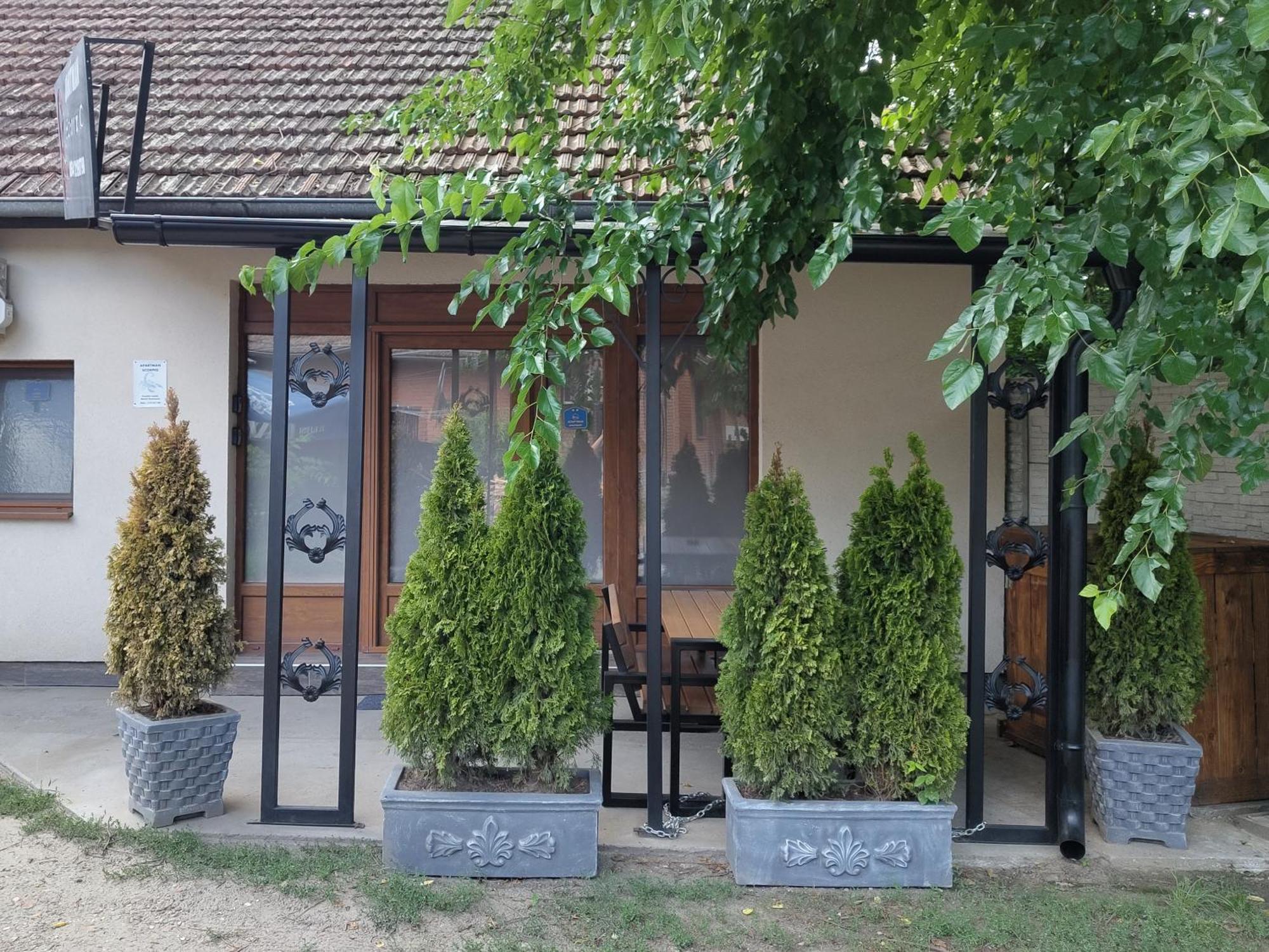 Scorpio Apartman/Sobe Palics Szoba fotó